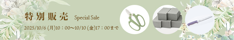 特別販売